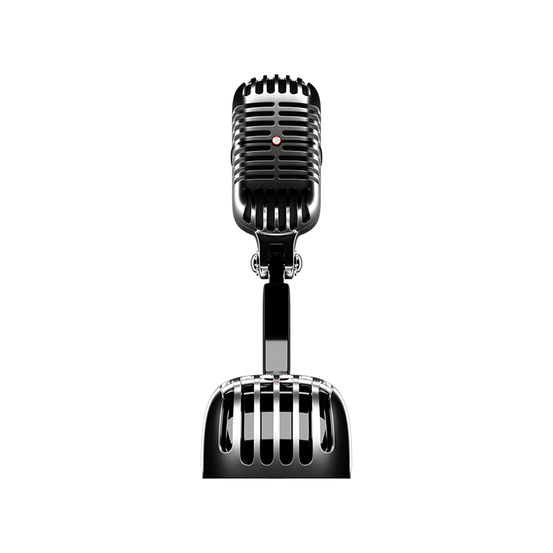 Recording Mic