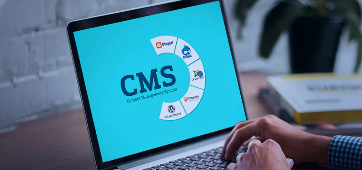 imgi_267_CMS-Development